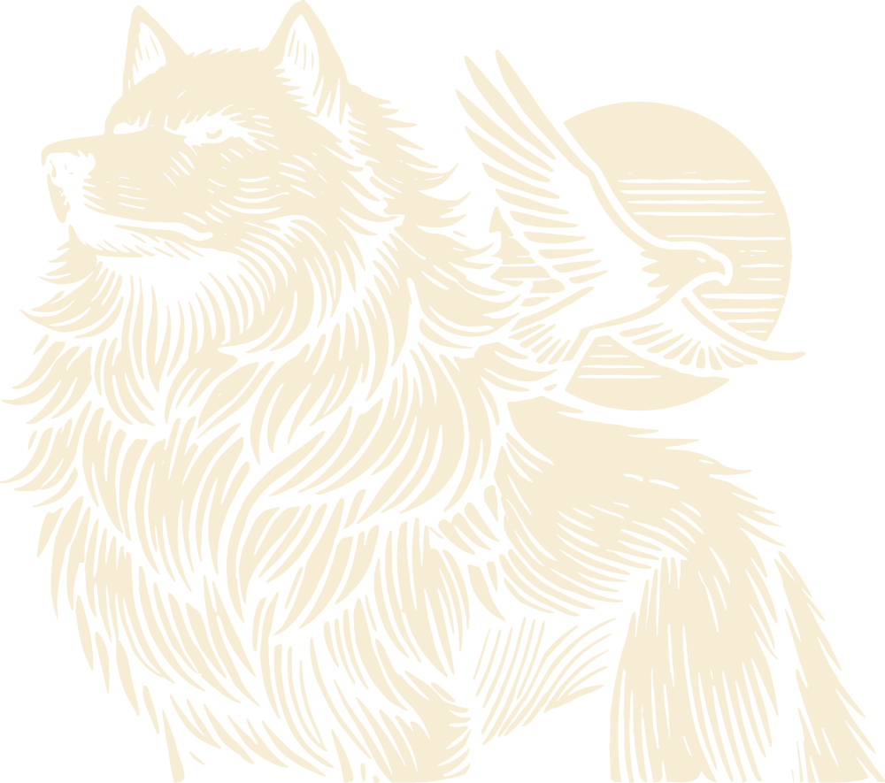 Romulus Minneapolis Jiu Jitsu Academy logo Minneapolis Jiu Jitsu Academy, Romulus Jui Jitsu