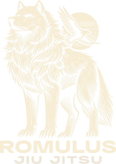 Romulus Jiu Jitsu Minneapolis Minnesota