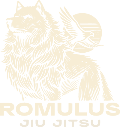 Romulus Jiu Jitsu Minneapolis Minnesota